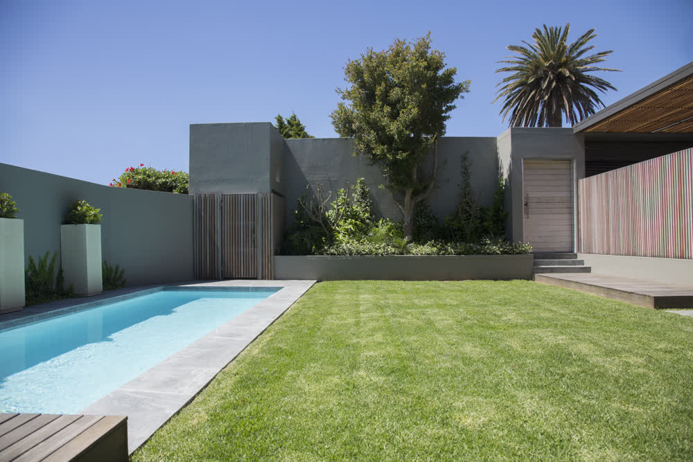 Tiny pool in modern backyard with concrete wall